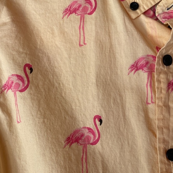 Flamingo Cotton Slim Fit Flex Button Down Short Sleeve Orange Pink Five Points S - Picture 3 of 8